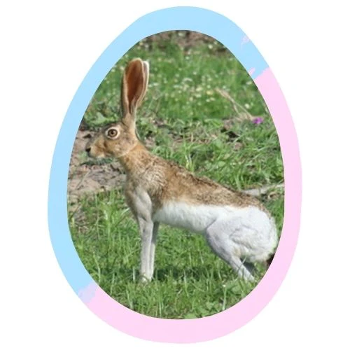 New to Garage Grown Gear!🔥🔥🔥